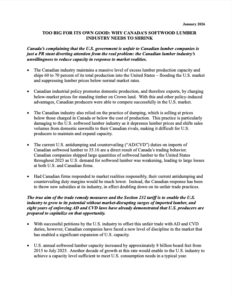 A document titled "Too Big For Its Own Good: Why Canada's Softwood Lumber Industry Needs To Shrink," outlining issues and solutions regarding Canadian lumber exports and U.S. trade policy.